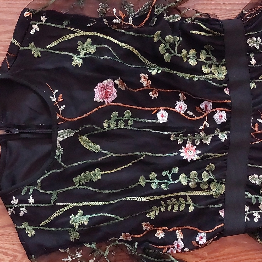 Dress, Sheer Black with Floral Embroidery,  Lined Body, Long Sleeves, Sz 6ish?